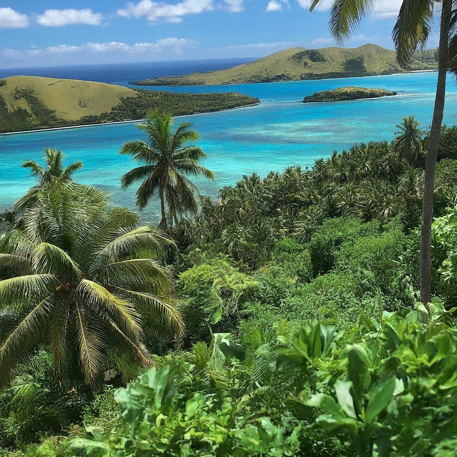 Kava Connoisseur's Guide to Fiji: A Cultural and Culinary Adventure 🌴