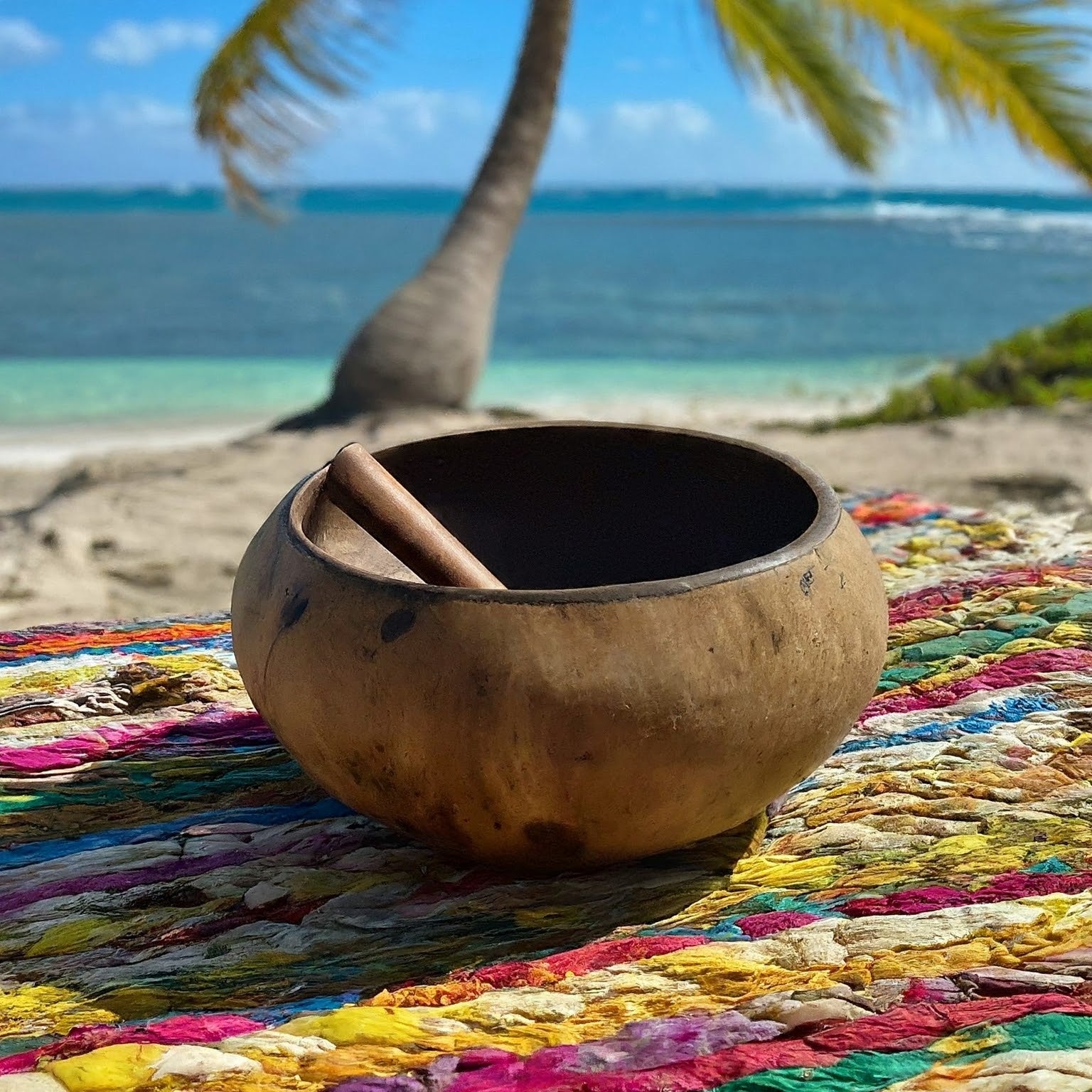 Kava for Seniors: Promoting Relaxation and Cognitive Function
